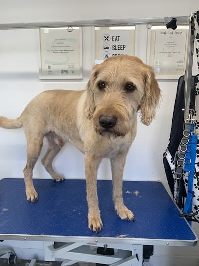 Photo of Hythe's Posh Paws, dog groomer in Folkestone