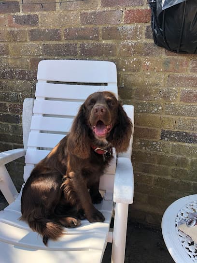 Photo of Bark & Bubbles Dog Grooming, dog groomer in Folkestone